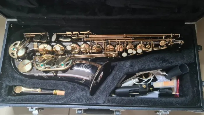 Saxofone Alto Mib Eagle SA500 Black Onyx - Completo com Acessórios