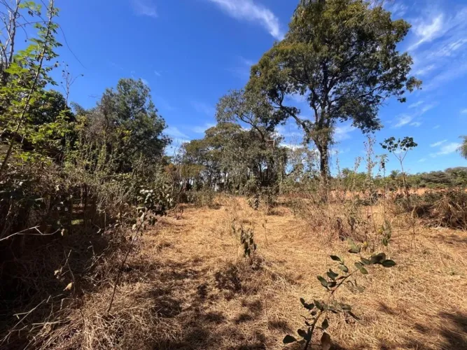 Venda de Terreno / Área na cidade de Araraquara
