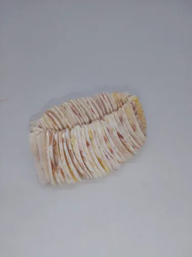Pulseira Madrepérola Conchas Fatiadas Natural Semi-nova