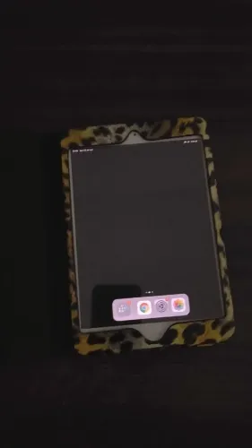 iPad Mini 2