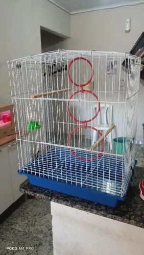 Gaiola para calopsitas e periquitos