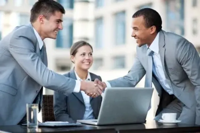 Consultor de vendas   / *