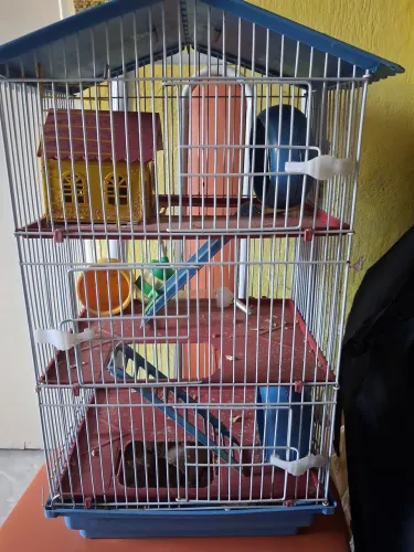 Casa de Hamster