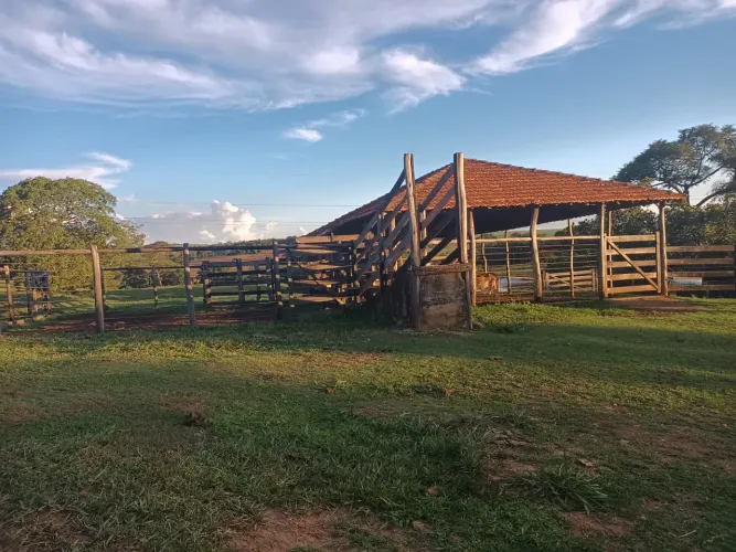 Sítio, fazenda em anincus 
