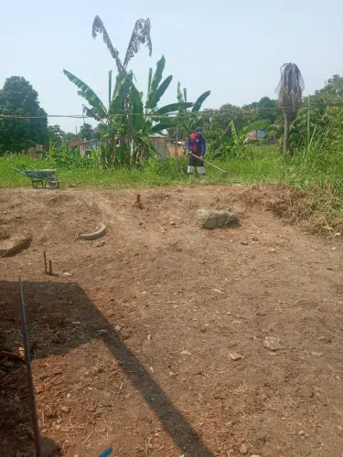 Serviço de limpeza de terrenos E Serviços em Geral