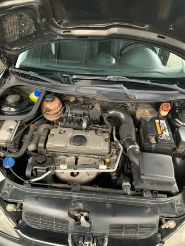 Peugeot 206 SW Presence 1.4/ 1.4 Flex 8V 5P 2008