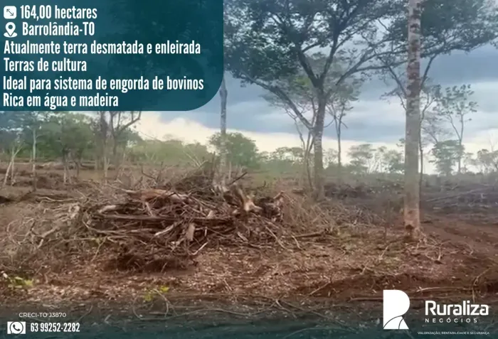 34 ALQUEIRES DE TERRA PRETA | IDEAL PARA ENGORDA | R$ 80 MIL/ALQUEIRE