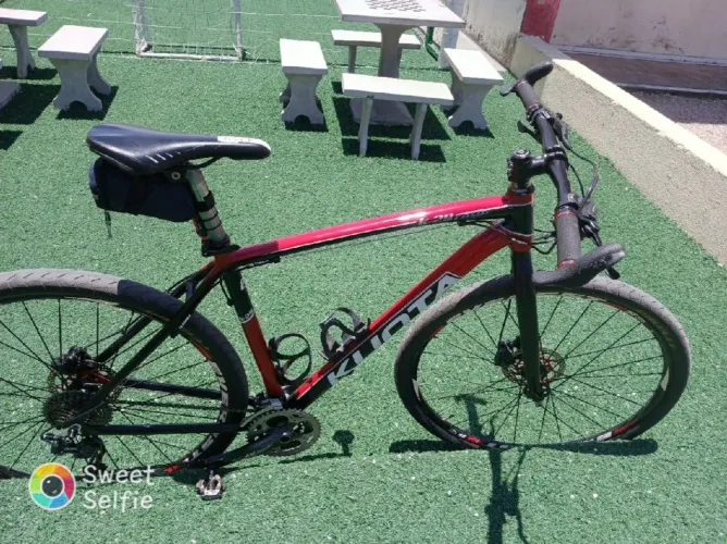 Bike 29