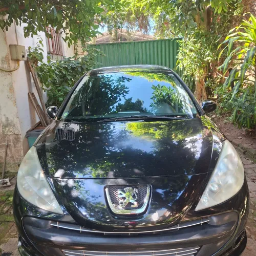 Peugeot 207 XS 1.6 Flex 16V 5P Aut. 2009