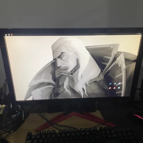 Monitor Gamer 165hz 24 polegadas (FULL HD)