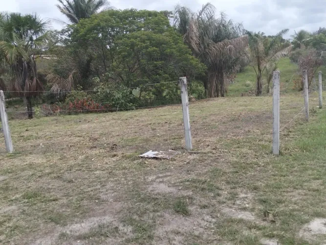Terreno em salinas PA