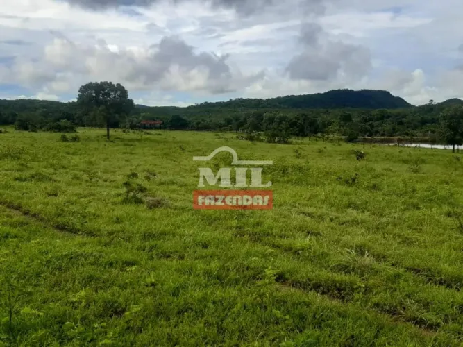 Fazenda em Crixás 60 Alqueires (290,4 Hectares) - GO