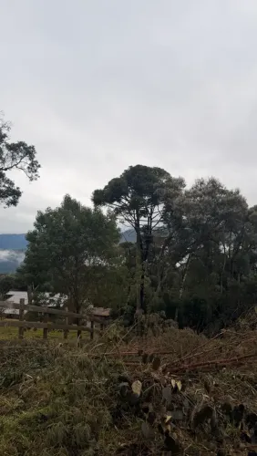 sítio a venda em Urubici