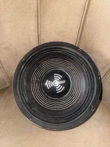 Médio grave Magnum 8 polegadas, 250 watts