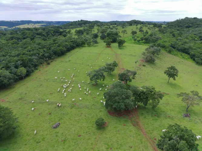 Fazenda em Goiás, bela vista de Goiás, 22 alqueire 7 milhões