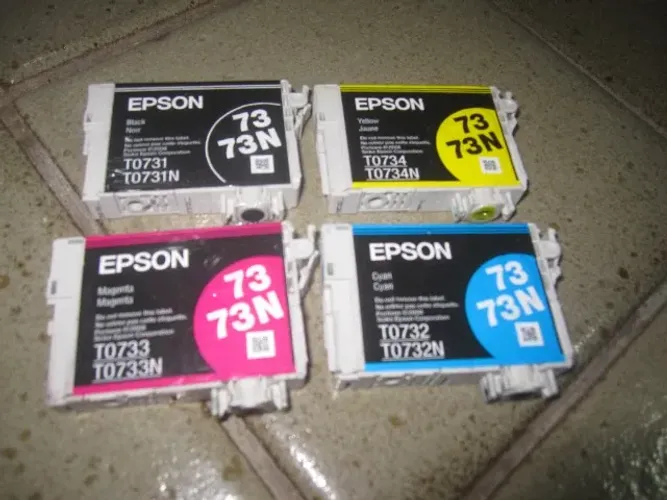 Lote com +30 cartuchos EPSON 73N com chip - para recarga