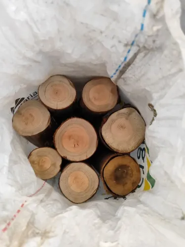Lenha para fogo de chão e pizzaria 