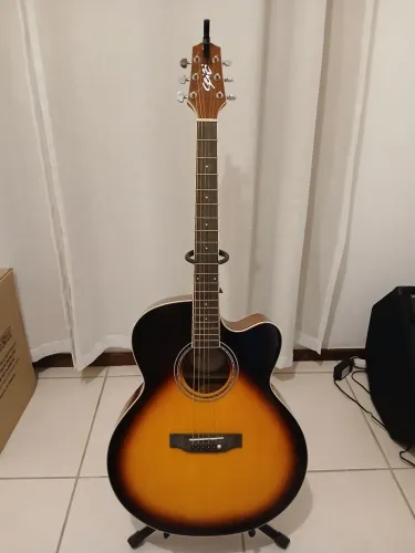 Violao seizi shogun