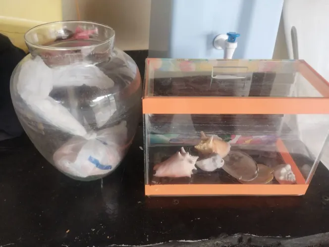 Vendo aquário preço a negocia e troco por algo do meu interesse 