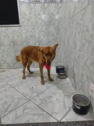 Doação