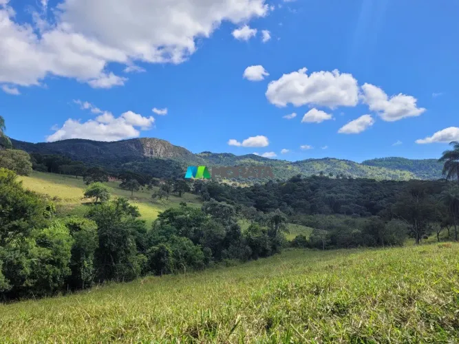 FAZENDA À VENDA - 116 HECTARES - BOM JESUS DO AMPARO (MG)