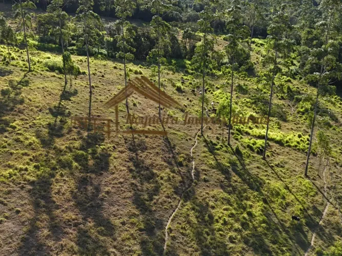 Sítio à venda com 5 alqueires em Guareí-SP