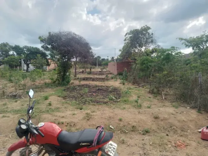 Terreno em Martins RN 8 X 20  por 20 mil