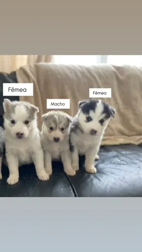 Vende-se