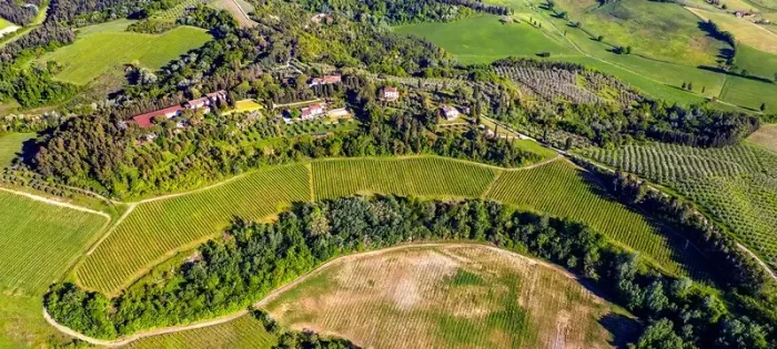 Fattoria di San Quintino | Mil Anos de História no Coração da Toscana