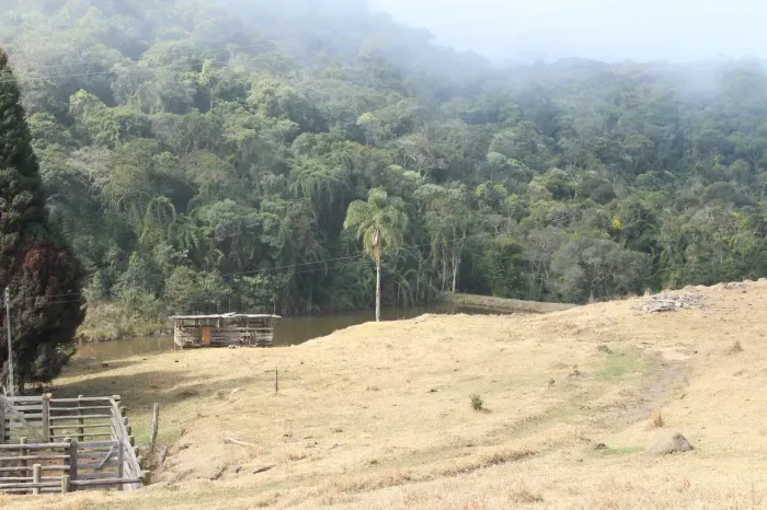 :   FAZENDA À VENDA  CUNHA/SP  Fazenda Fortaleza  Campos Novos de Cunha  75 alqueires