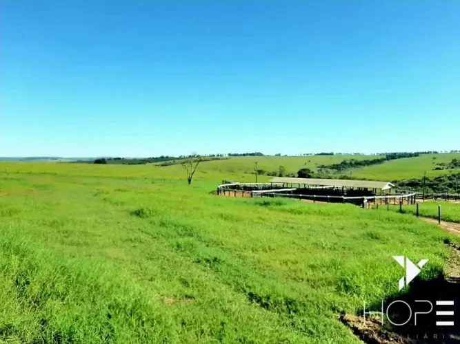 Fazenda de 217 Alqueires  Localização Estratégica na Beira da Rodovia, a Apenas 50 km de C