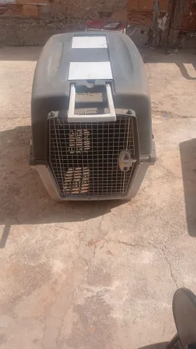 Venda de casinha para cachorro 2 grandes e uma media