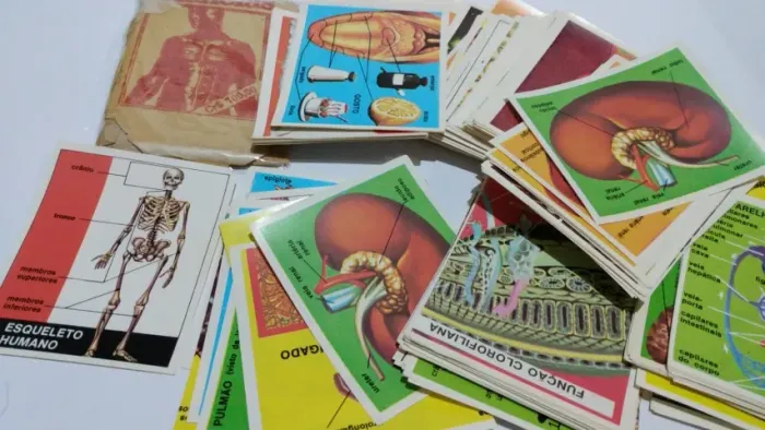 Lote de figurinhas antigas década de 70 Ciências O corpo humano anatomia