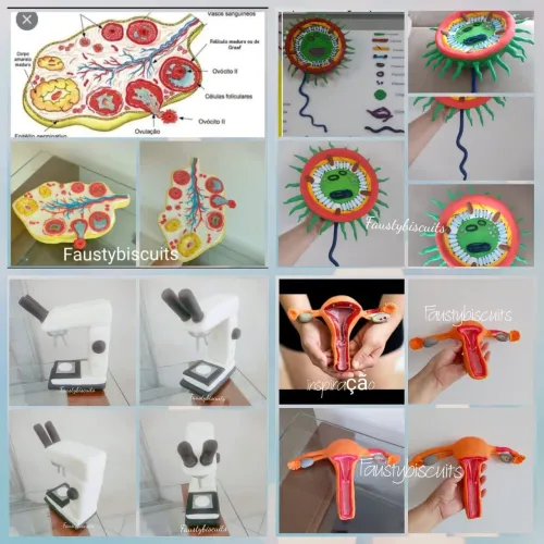 Maquetes personalizadas feitas com biscuits para apresentação de seminário