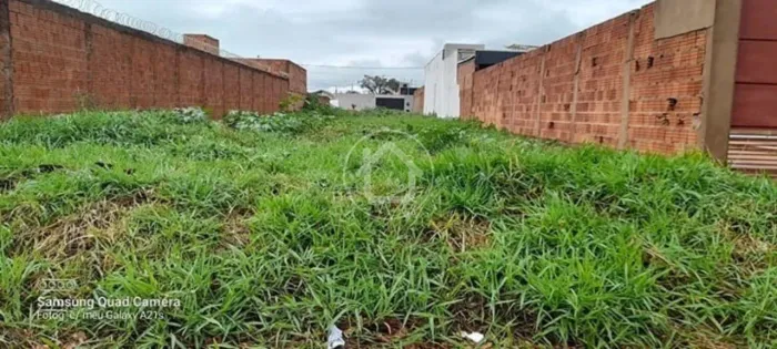 TERRENO COM ASFALTO - RESIDENCIAL TOLENTINO