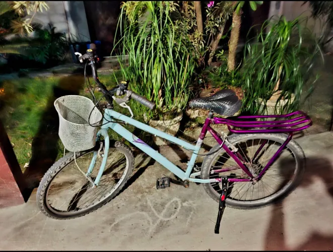 Bike aro26