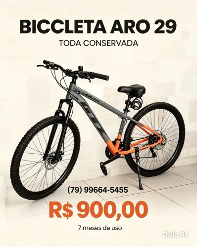 Bicicleta