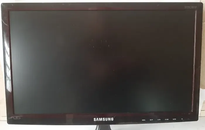 Monitor Samsung 19 S19c301f C/ Fonte E Cabo Vga Preto - Usado
