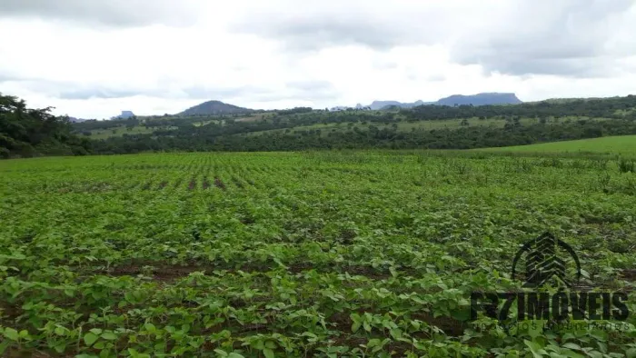 FAZENDA EM DOVERLÂNDIA - GO