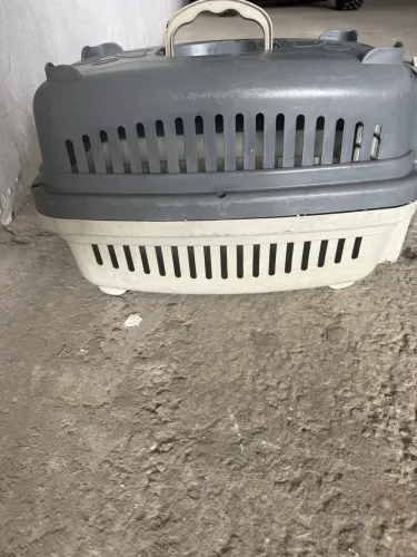 Caixinha transporte animais