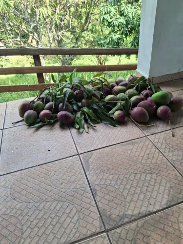 Sitio vendo Jacutinga MG