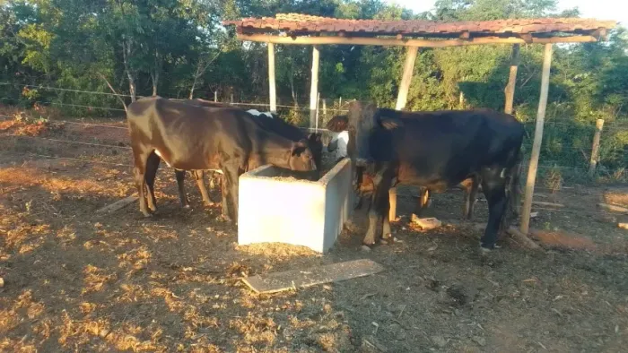 Vende se Gado.
