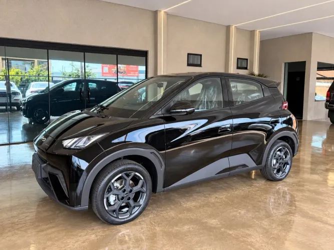 BYD Dolphin Mini (Elétrico) 2027