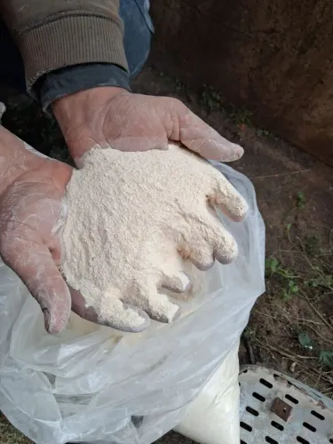 Farelo de soja desengordurado com caruncho e/ou traças (ler descrição)