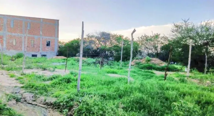 Terreno