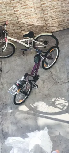 Poty aro 24