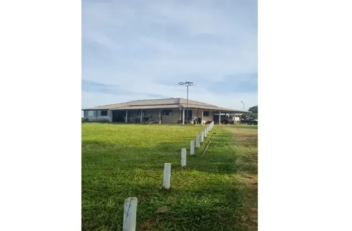 Fazenda Compacta Produtiva | 8.000 Pitayas + Acesso ao