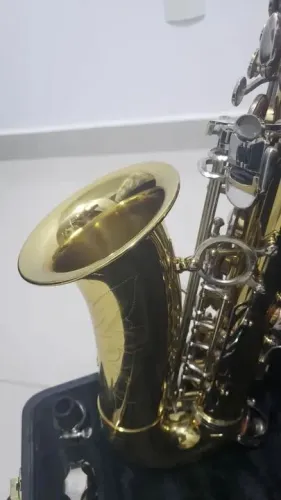 Sax Alto Hoyden Mib Dourado