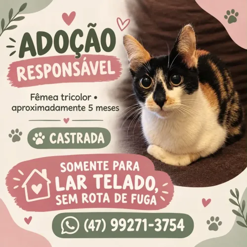 Doação 