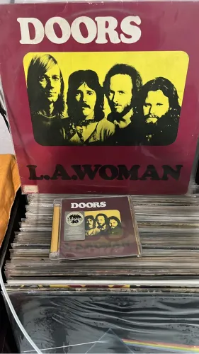 Discos de vinil ROCK E MPB